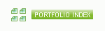portfolio icon